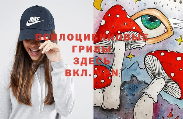 mix Гусиноозёрск