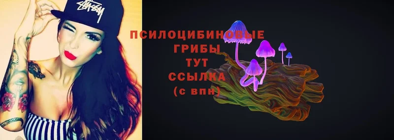 Псилоцибиновые грибы MAGIC MUSHROOMS  мега маркетплейс  Зея 