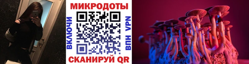 Галлюциногенные грибы ЛСД  Зея 