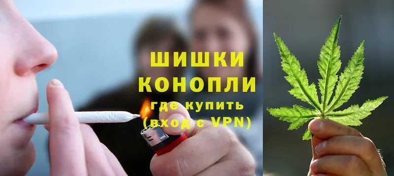 где можно купить   Зея  Каннабис White Widow 